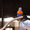 DSC00310