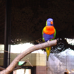DSC00310