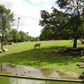 DSC00315