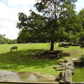 DSC00316