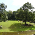 DSC00318