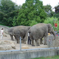 DSC00319