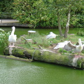 DSC00320