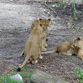 DSC00330