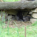 DSC00335