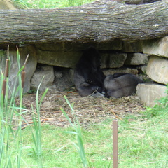 DSC00335