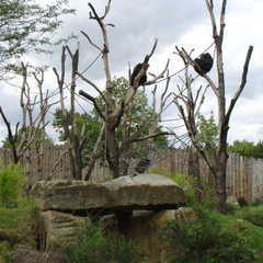 DSC00340