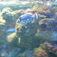 DSC00347