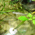 DSC00351