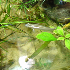DSC00351