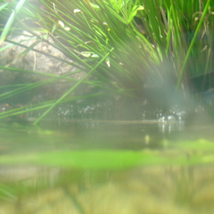 DSC00352