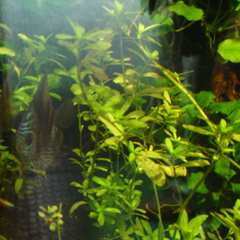DSC00354