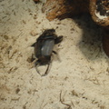 DSC00358