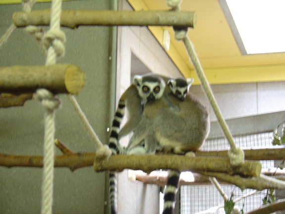 DSC00368