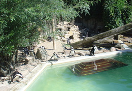 DSC05194