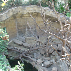 DSC05197