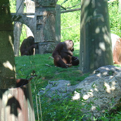 DSC05201