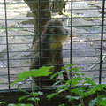 DSC05205