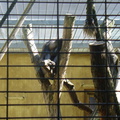 DSC05206