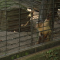 DSC05207