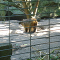DSC05208