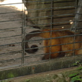 DSC05213