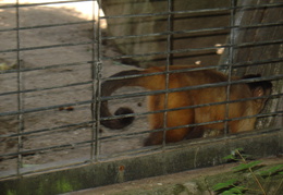 DSC05213