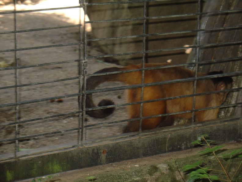 DSC05213.JPG