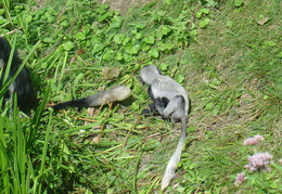 DSC05222