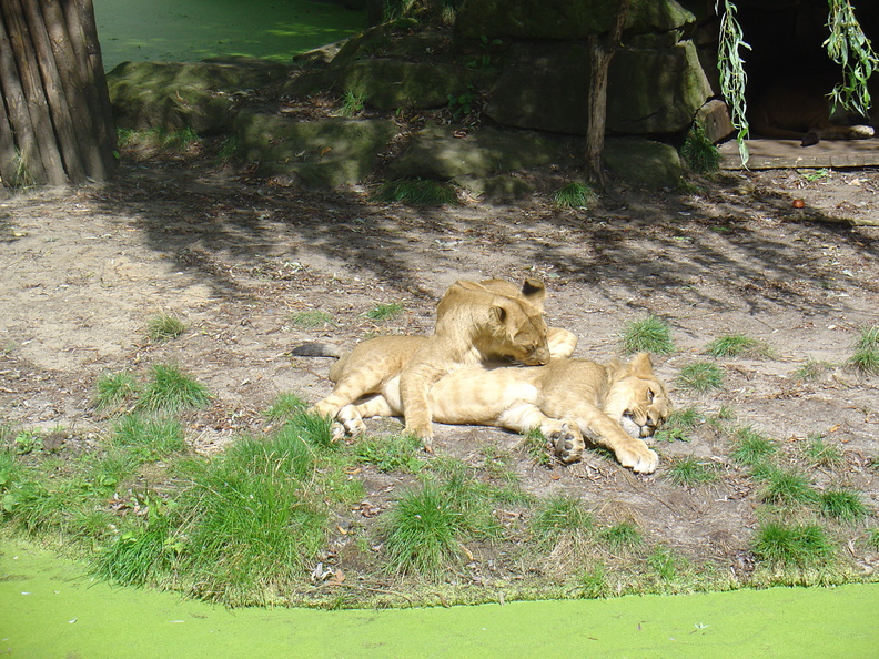 DSC05242.JPG