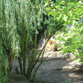 DSC05245