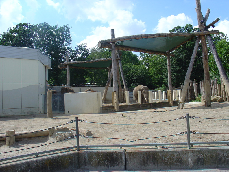 DSC05251