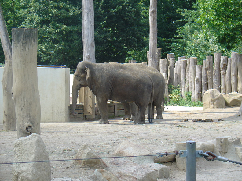 DSC05273.JPG