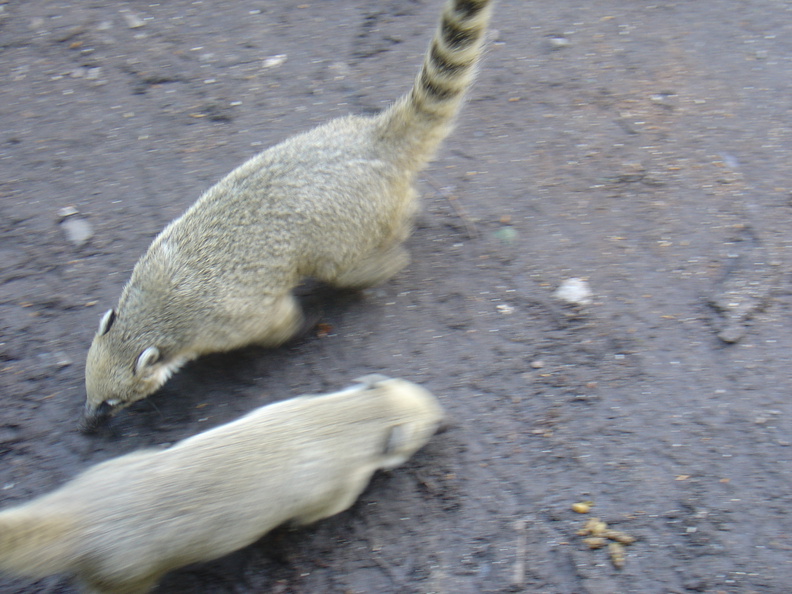 DSC05295.JPG