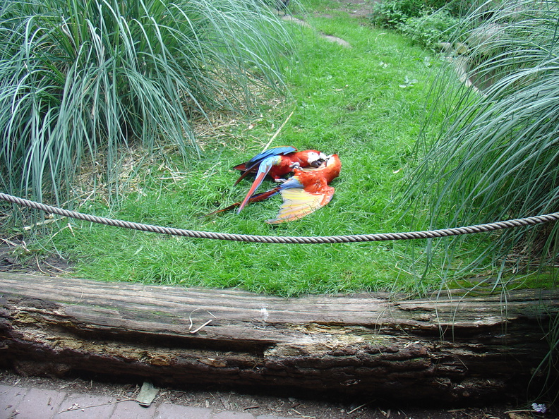 DSC05312.JPG