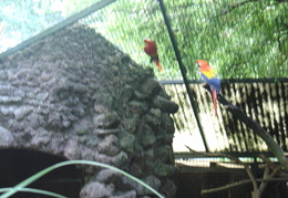 DSC05315