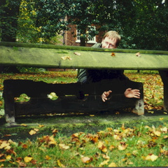 york38