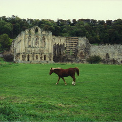 york22