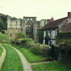 york23