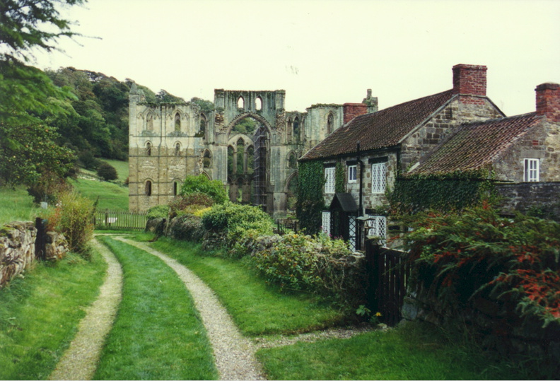 york23.jpg