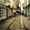 york61