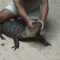 florida21
