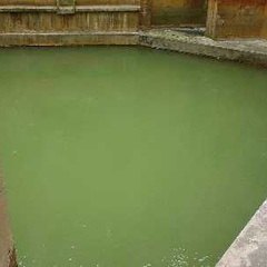 Bath Quelle