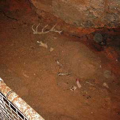 Kents Cavern