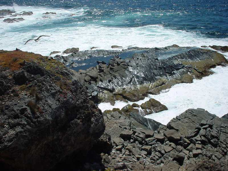 Dsc00493