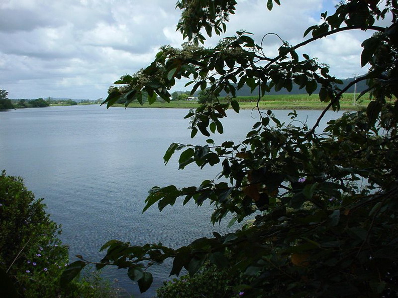 DSC00026_001.JPG