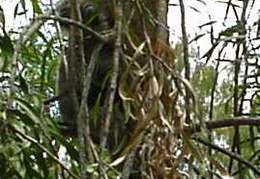 DSC00104