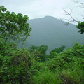 DSC00161