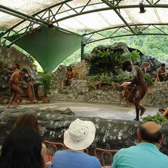 Dsc00314