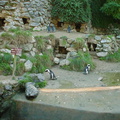 DSC00007